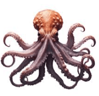 octopus