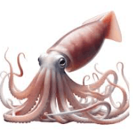 squid