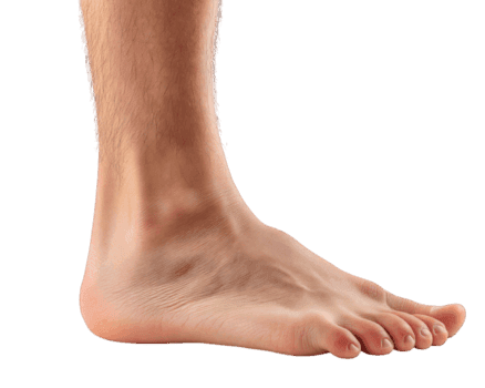foot