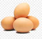 egg