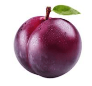 plum