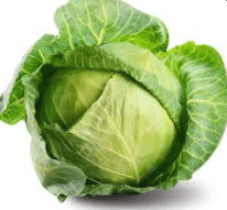 cabbage