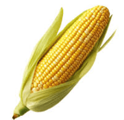 corn