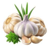 garlic